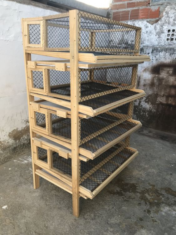 Aneka Ide Desain Kandang Ternak Ayam Petelur Yang Baik
